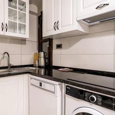 Convenient Flat W Garden 10 Min To Galataport 아파트 이스탄불